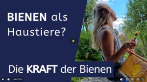 Hobbyimkerin & Yogatrainerin über die Kraft der Bienen